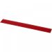 Rothko 30 cm plastic ruler